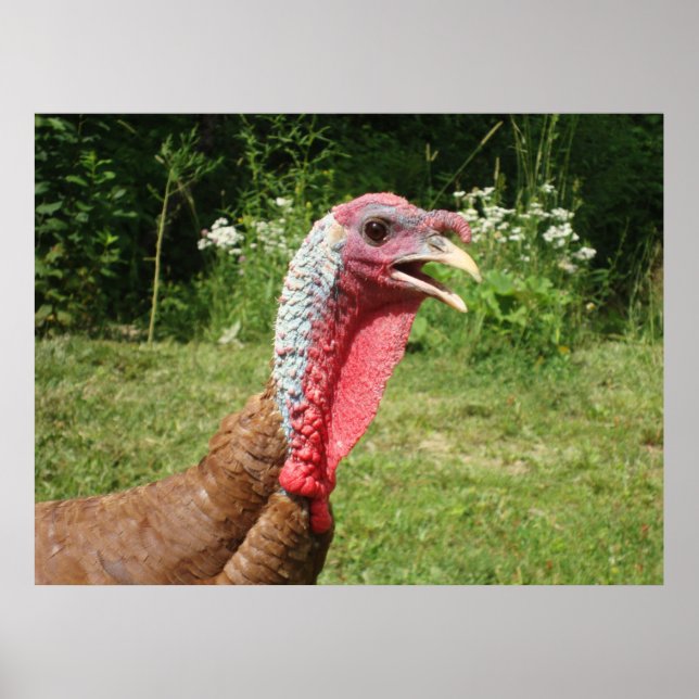 Poster Bourbon Red Turkey (Devant)