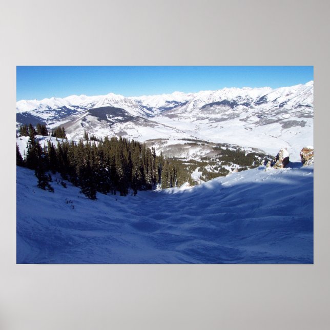 Poster Bouton de museau, CO (Devant)