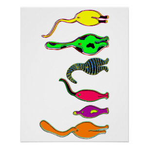 Poster Boutons de chat colorés