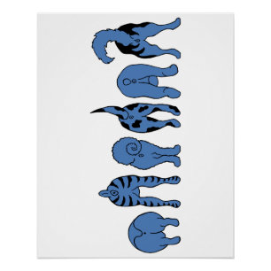 Poster Boutons de chien bleu