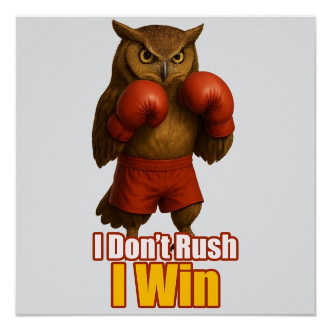Poster Boxing Owl  Win with Patience (Devant)