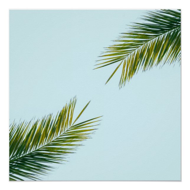 Poster Branche de palmier (Devant)