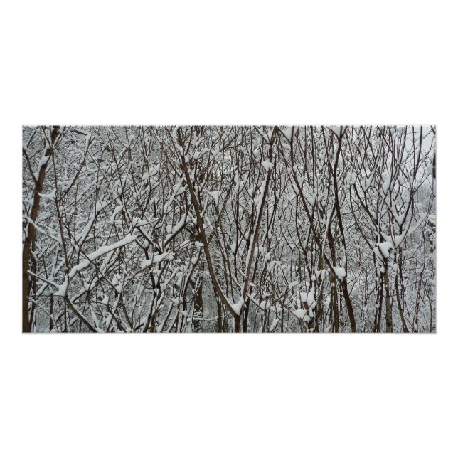 Poster Branches couvertes de neige Abstraite hivernale (Devant)