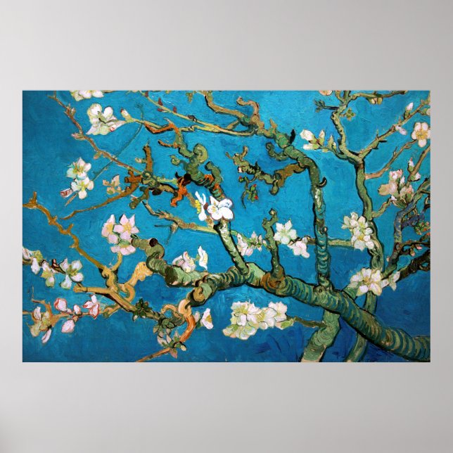Poster Branches d'amandes en détail de fleurs, Van Gogh (Devant)