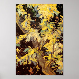 Poster Branches de l'acacia en floraison Van Gogh Art