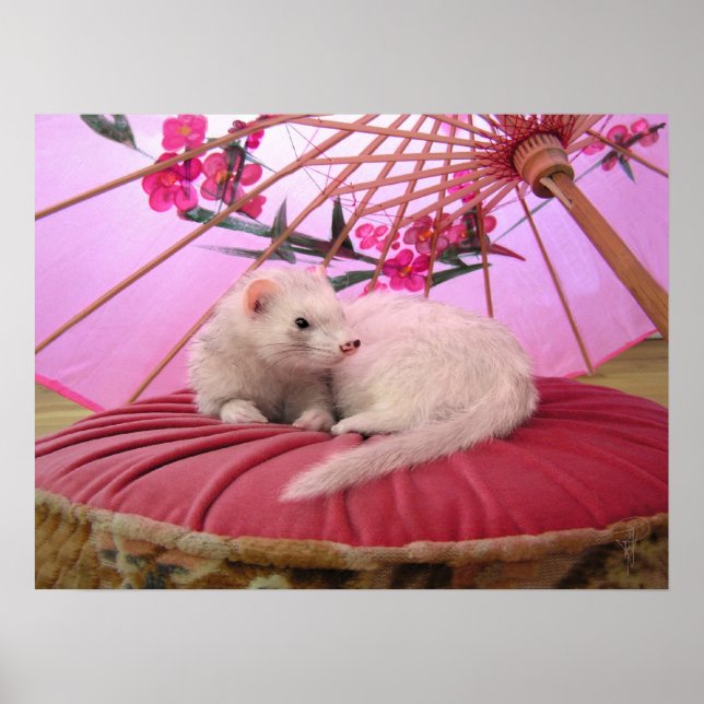 Poster Breeze Du Japon (Devant)