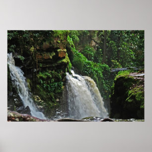 Poster Brésil Rainforest Waterfall