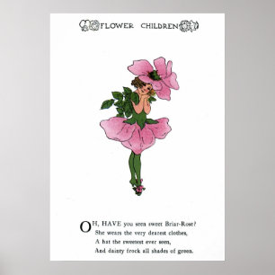 Poster Briar-Rose