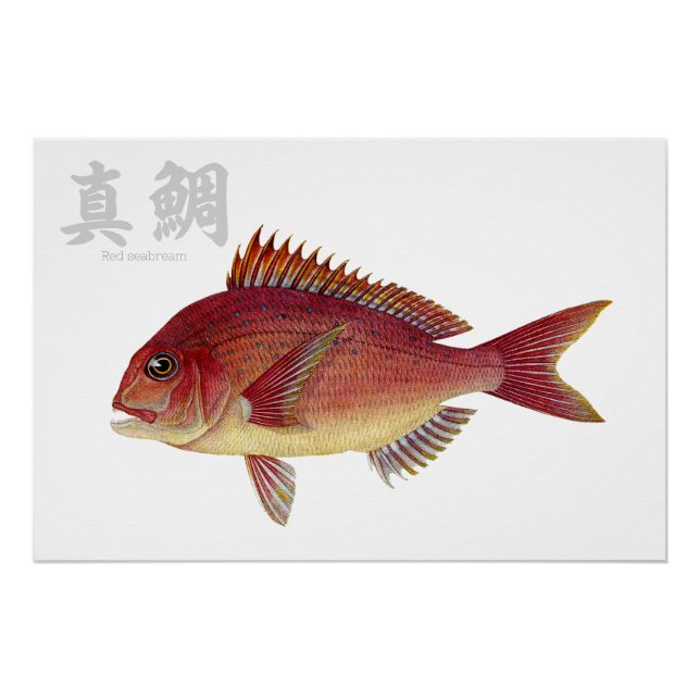 Poster brillant (Devant)