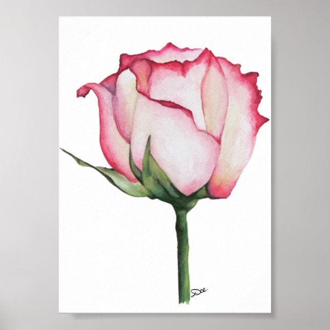 Poster brillant en toile Rose Premium 5x7 (Devant)