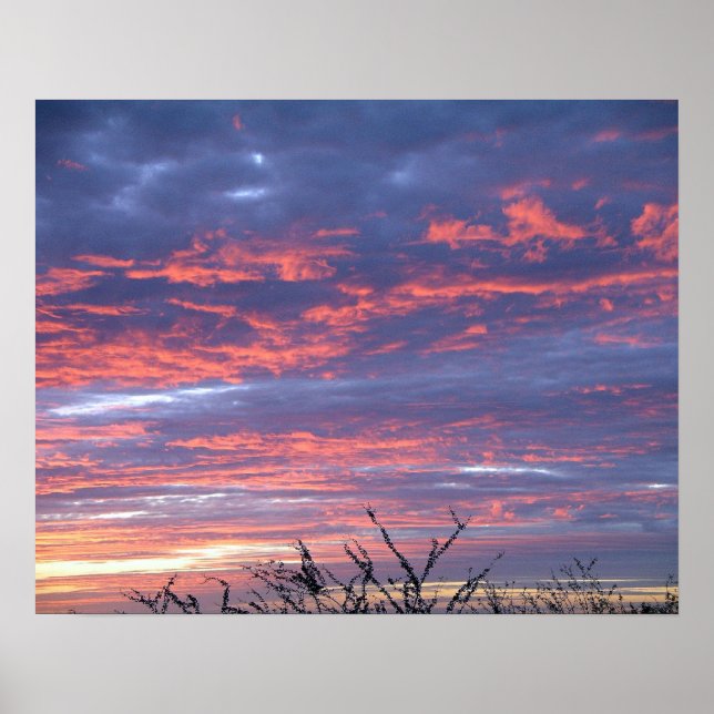 Poster Brilliant Hawaiian rose et Lavender Sunset Sky (Devant)