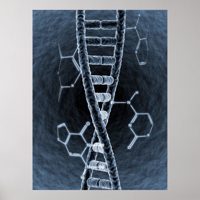 Poster brin d'ADN (Devant)