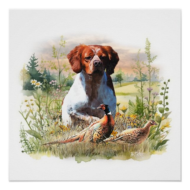 Poster Brittany Spaniel – Field, Focus, Pheasant , Art  (Devant)