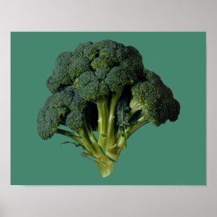 Poster Broccoli 14" x 11", papier d'affiche de valeur (Ma