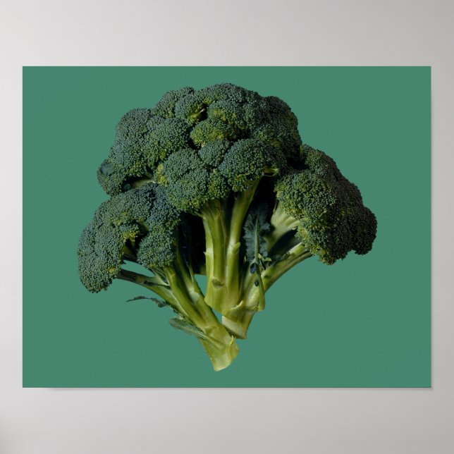 Poster Broccoli 14" x 11", papier d'affiche de valeur (Ma (Devant)