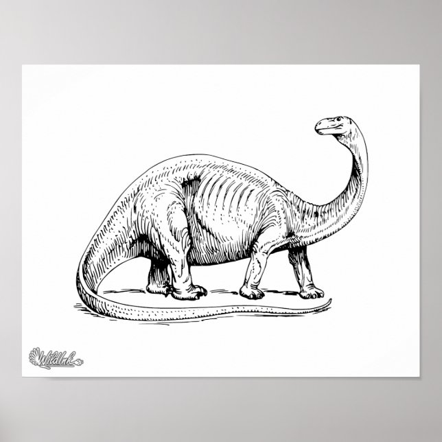 Poster Brontosaurus (Devant)