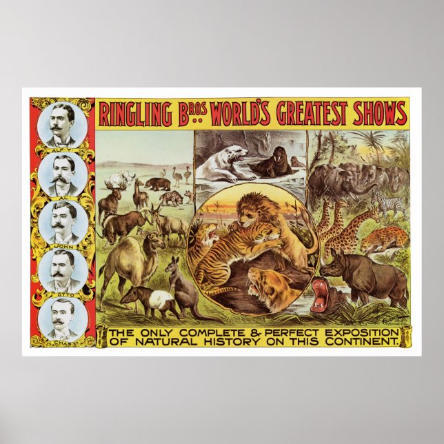 Poster Bros à sonneries. Annonce animale sauvage dans les (Devant)