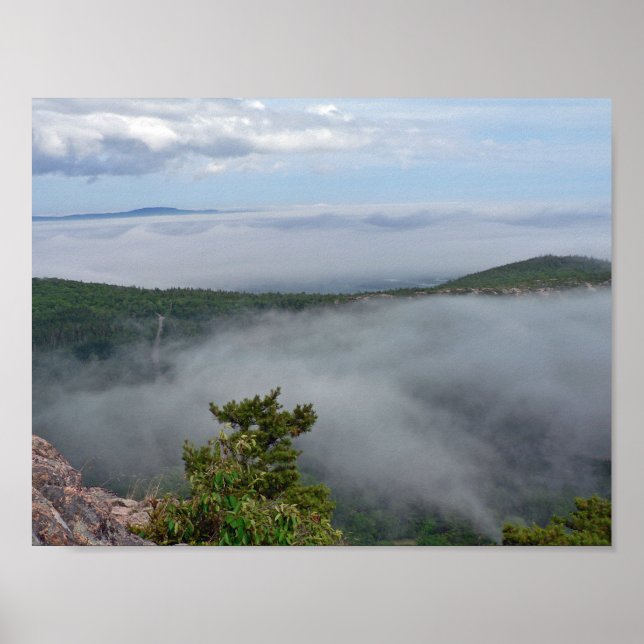 Poster Brouillard autour de Great Head, Acadia NP, Maine (Devant)