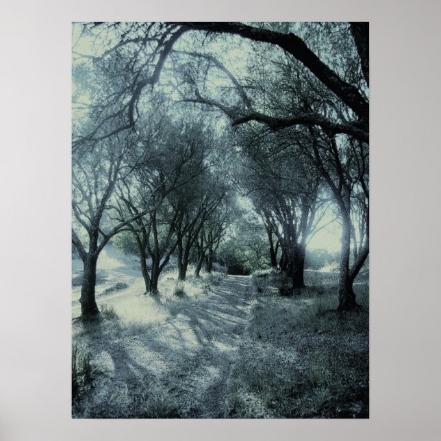 Poster Brouillard de l'aube (Devant)