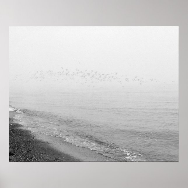 Poster Brouillard et pluie s'installent le long du rivage (Devant)