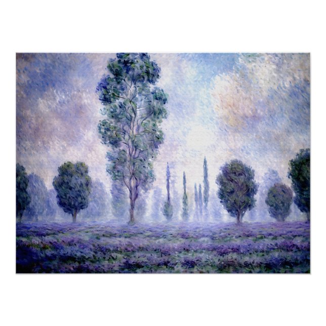 Poster Brouillard matinal (Devant)