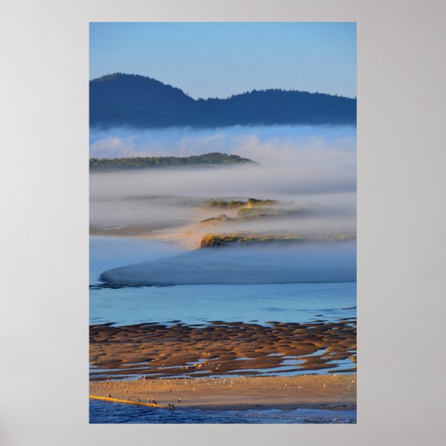 Poster Brouillard matinal au-dessus de Netarts Bay, OU (Devant)