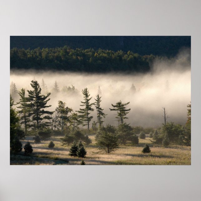 Poster Brouillard matinal dans les Adirondacks 4 (Devant)