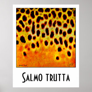 Poster Brown truite