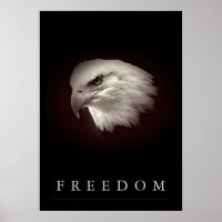 Brownish Freedom American Eagle Face Patriotic