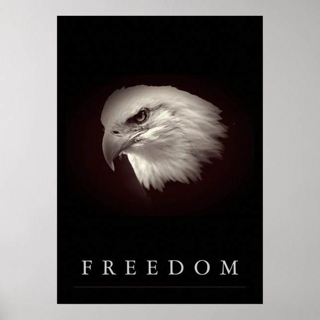 Poster Brownish Freedom American Eagle Face Patriotic (Devant)