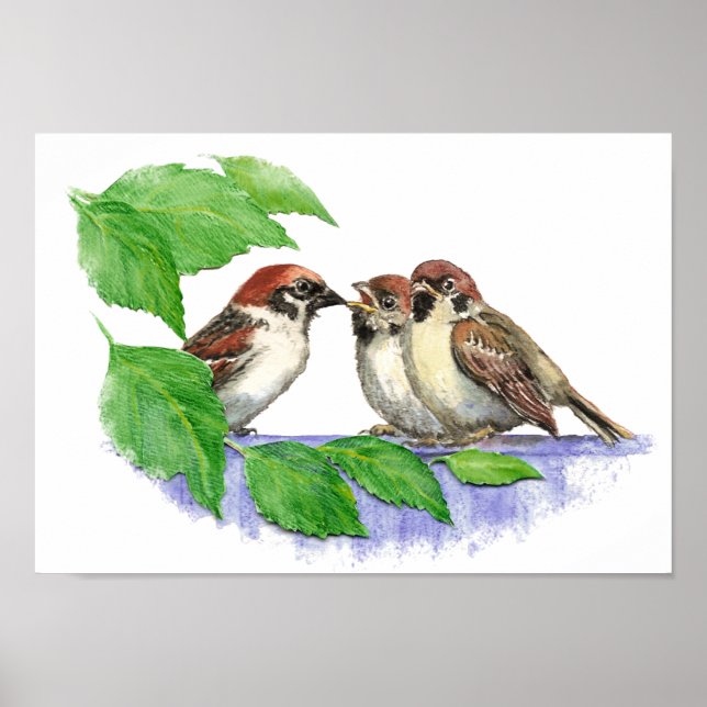 Poster Bruant, Oiseau, Jardin, Nature animale (Devant)