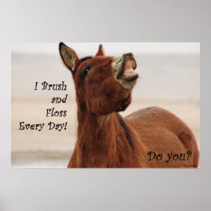 Poster Brûlez et faites bouillir vos dents tous les jours