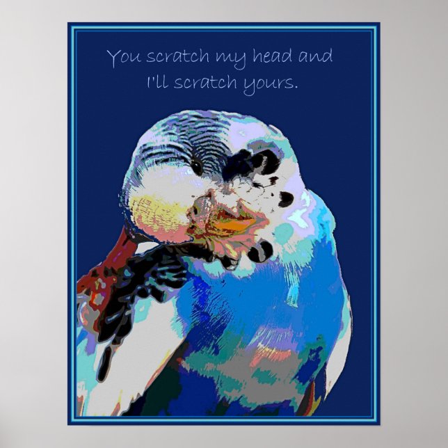 Poster Budgie veut un scratch (Devant)