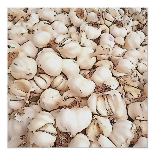 Poster Bulbs Of Garlic Acrylic Art (Devant)