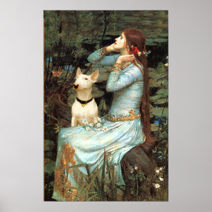 Poster Bull Terrier 1 - Ophélie assise