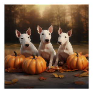 Poster Bull Terrier Chiot Automne Citrouille de plaisir