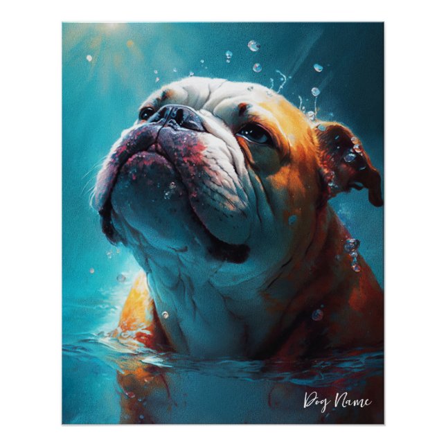 Poster Bulldog swimming in water 005 (Devant)