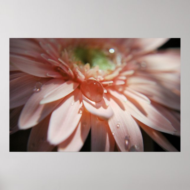 Poster Bulles roses (Devant)