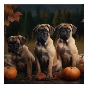 Poster Bullmastiff Chiot Automne Citrouille de plaisir