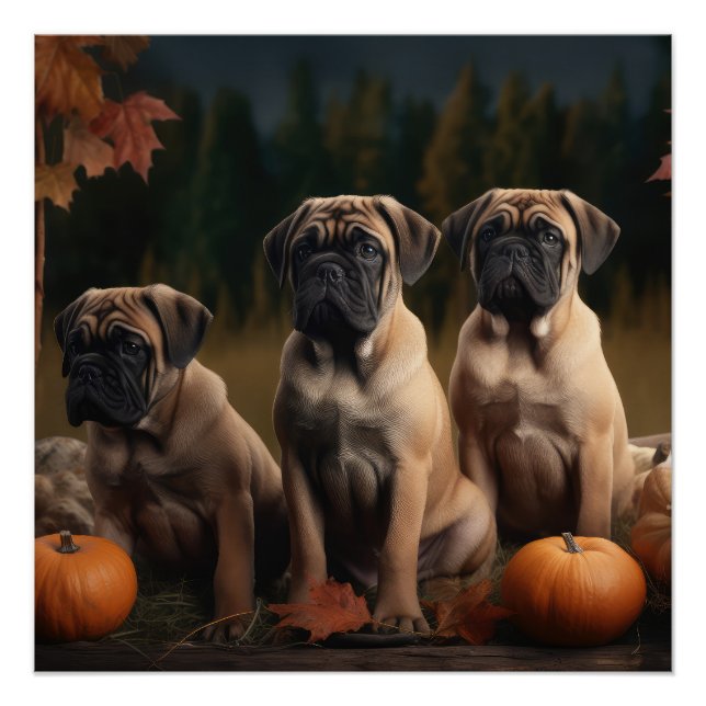 Poster Bullmastiff Chiot Automne Citrouille de plaisir (Devant)