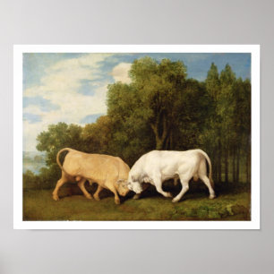 Poster Bulls Fighting, 1786 (huile sur panneau)