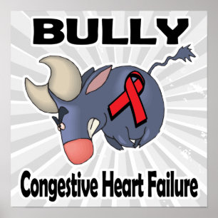 Poster BULLy insuffisance cardiaque congestive