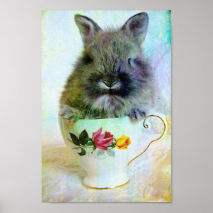 Poster Bunny Teacup