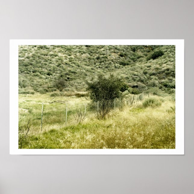 Poster Bush et la clôture (Devant)