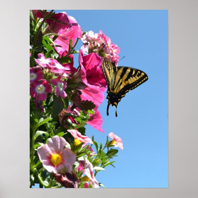 Poster Butterfly and Flowers II (Devant)