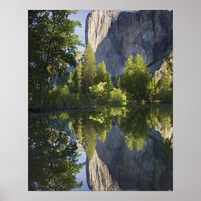 Poster CA, Parc national de Yosemite, El Capitan reflété  (Devant)