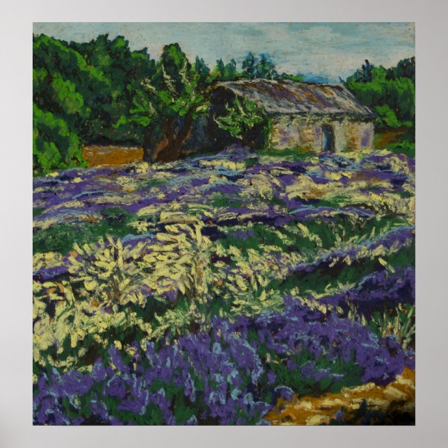 Poster Cabanon dans la lavande (Devant)