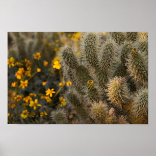 Poster cactus et fleurs sauvages