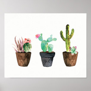 Poster Cactus et Trio Succulent Un