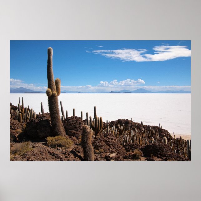 Poster Cactus géant à l'affiche Salar de Uyuni (Devant)